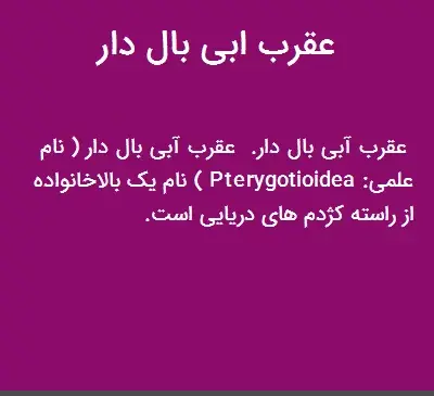 عکس عقرب آبی