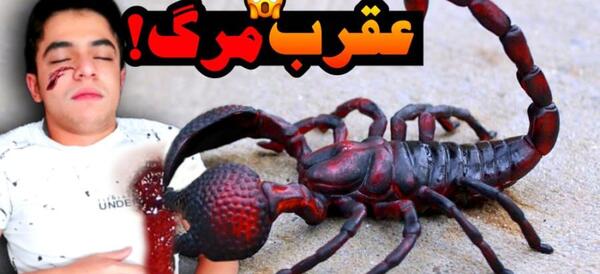عکس عقرب آبی
