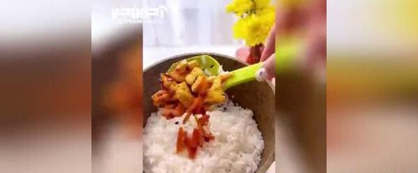 عکس غذای زاپاتا