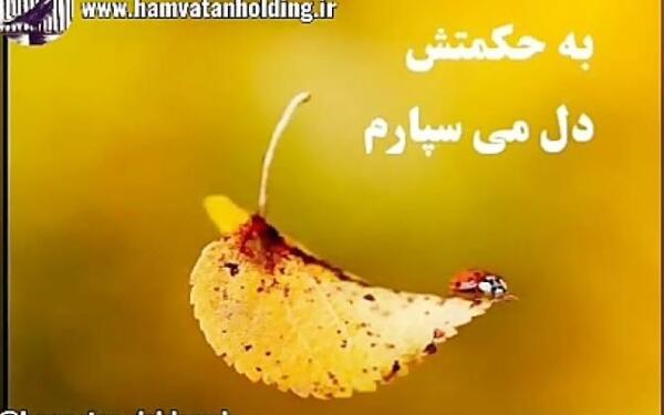 عکس نوشته خیانت تو اوج اعتماد
