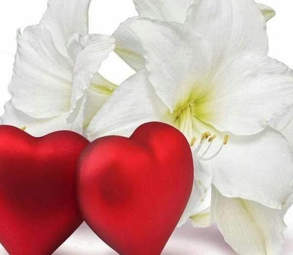 عکس قلب اسم زیبا