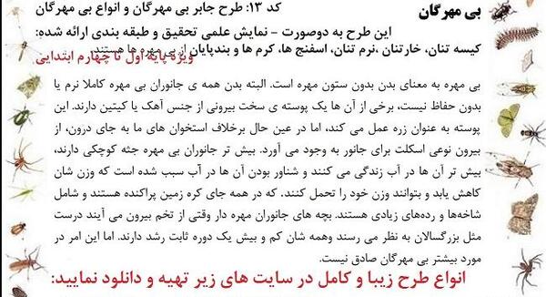 عکس حیوانات بی مهره