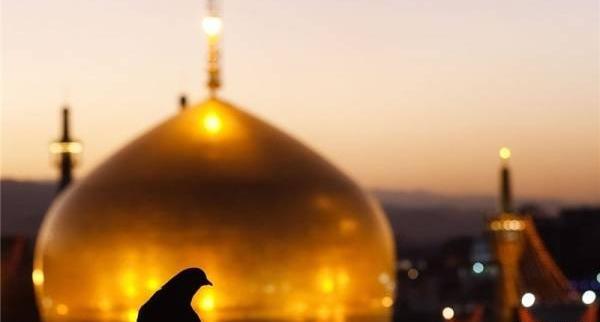 عکس نوشته یا امام رضا