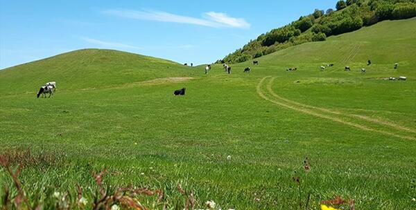 عکس روستای سوها