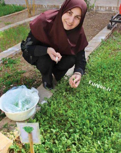 عکس نوشته پوریای ولی