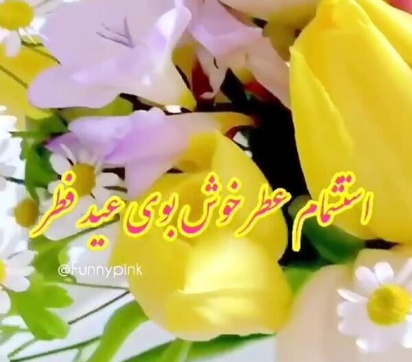 عکس سفید ساده مربعی