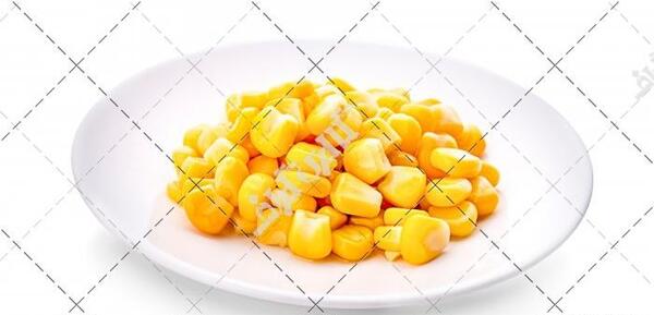 عکس ذرت خراب شده