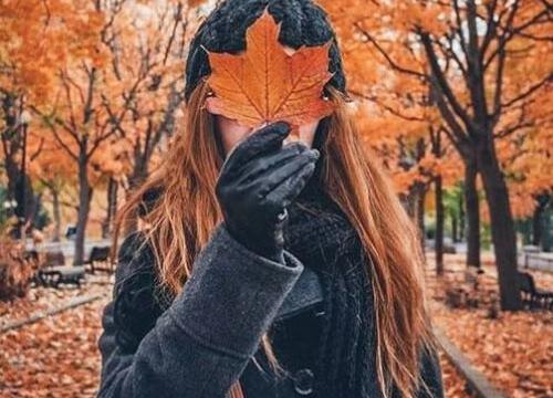 عکس پاییز آذر ماه