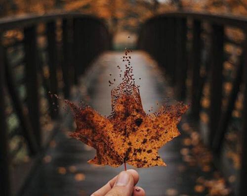 عکس پاییز آذر ماه