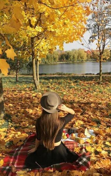عکس پاییز آذر ماه