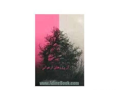 عکس شهید حسن ضیائی