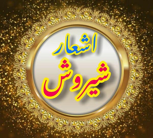 عکس شهید حسن ضیائی