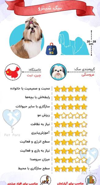 عکس سگ های شیتزو