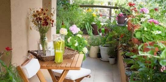عکس ایده هایی برای دکوراسیون باغ