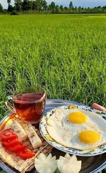 عکس دریا صبحانه