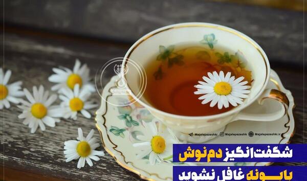عکس چای بابونه