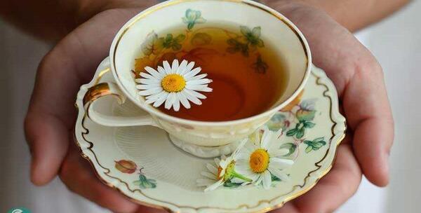 عکس چای بابونه