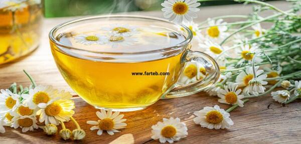 عکس چای بابونه
