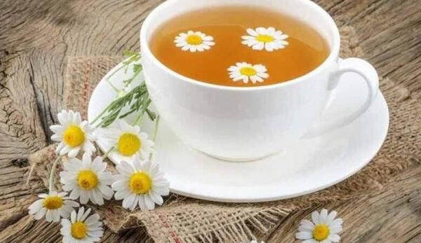 عکس چای بابونه