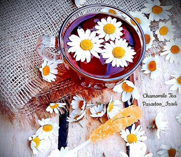 عکس چای بابونه