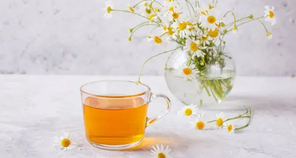 عکس چای بابونه