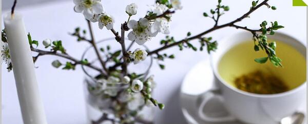 عکس چای بابونه