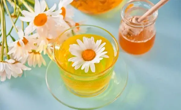 عکس چای بابونه