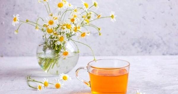 عکس چای بابونه