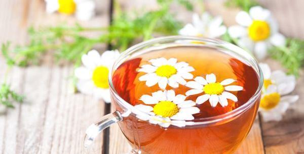 عکس چای بابونه