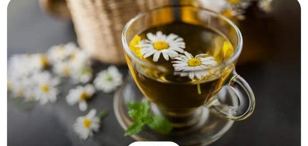 عکس چای بابونه