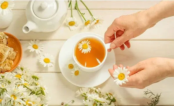 عکس چای بابونه