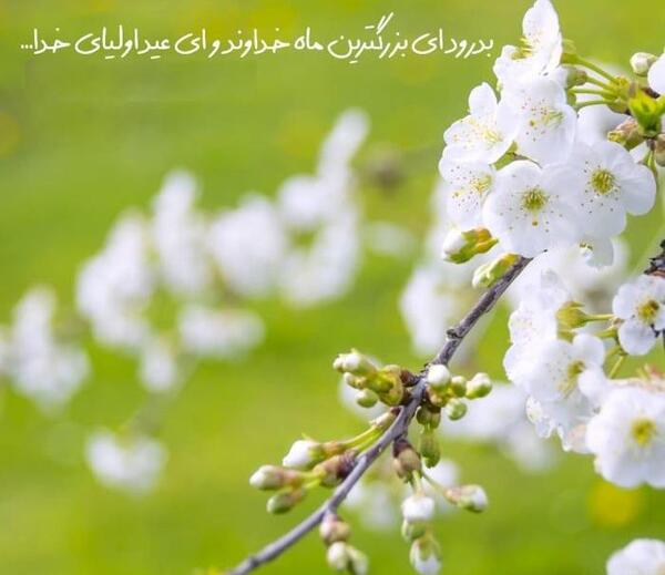 عکس خنده دار در مورد ماه رمضان