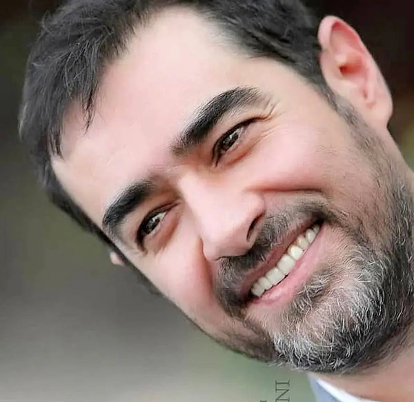 عکس همسر جدید شهاب حسینی کیست
