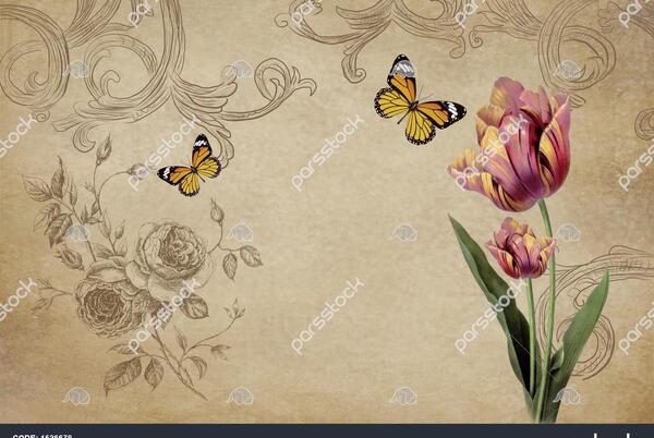 عکس کاغذ دیواری روی دیوار