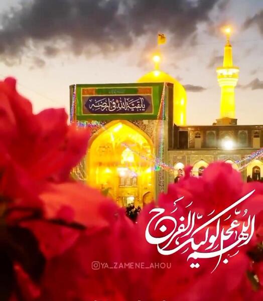عکس نیمه شعبان جمکران