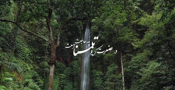عکس ماشین زورو