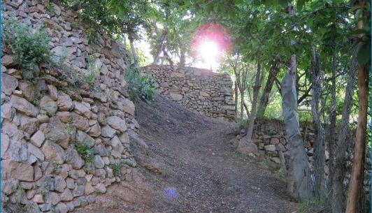عکس روستای رندان