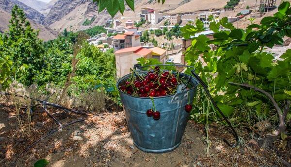 عکس روستای رندان