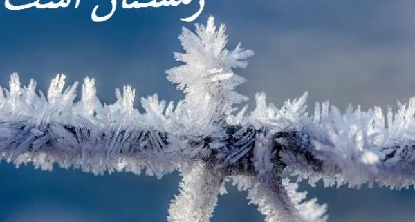 عکس پروفایل واتساپ زمستانی