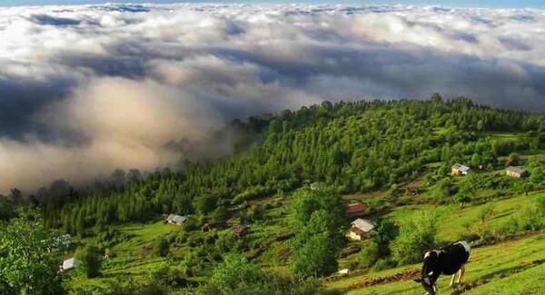 عکس شهر فیلبند