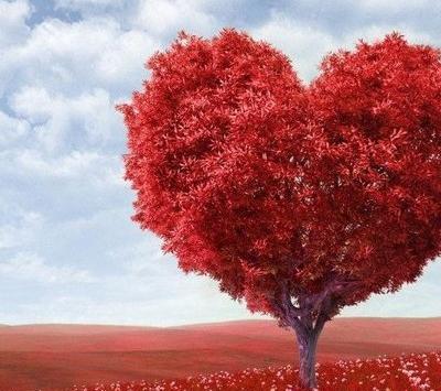 عکس پروفایل عاشقانه خاص بدون متن زیبا