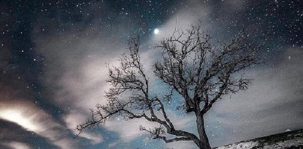عکس از طبیعت زیبای لرستان