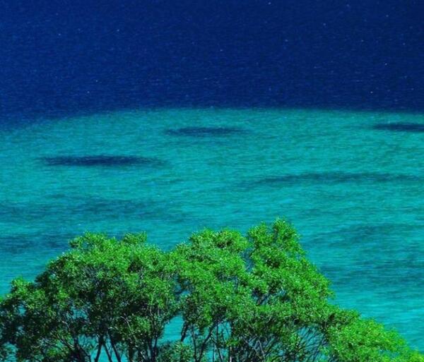 عکس از طبیعت زیبای لرستان