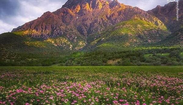 عکس از طبیعت زیبای لرستان