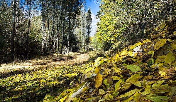 عکس از طبیعت زیبای لرستان