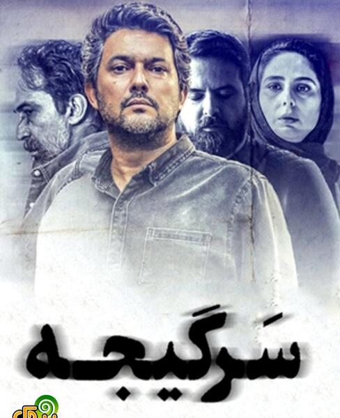 عکس از حامد بهداد