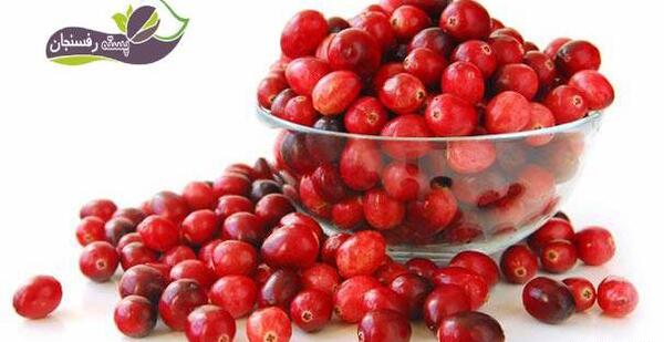 عکس بذر زغال اخته