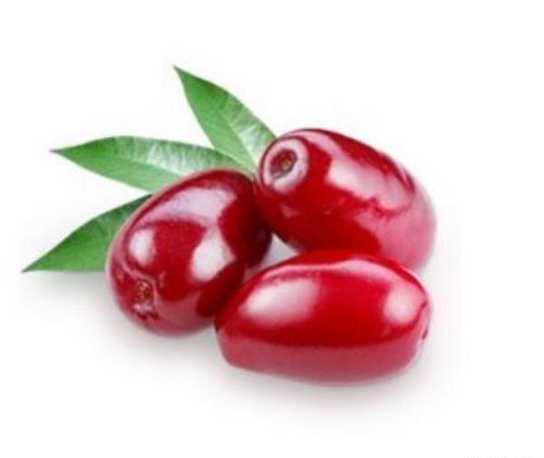 عکس بذر زغال اخته