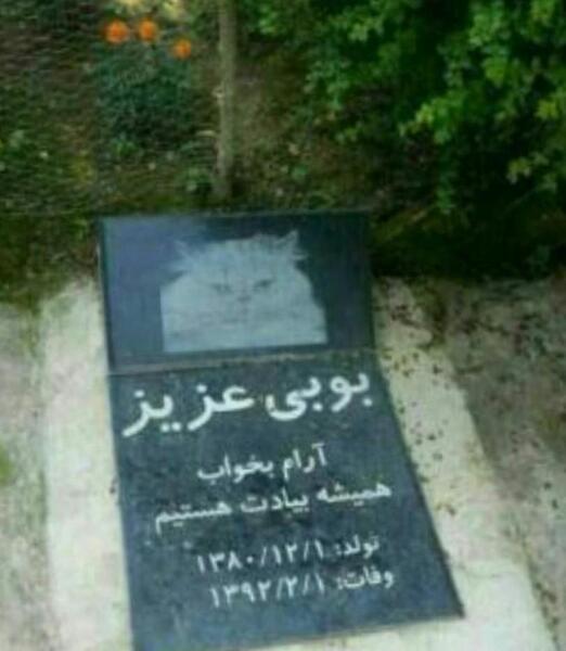 عکس سنگ قبر گربه