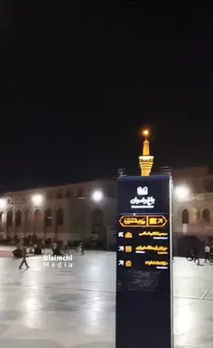 عکس سنگ قبر گربه
